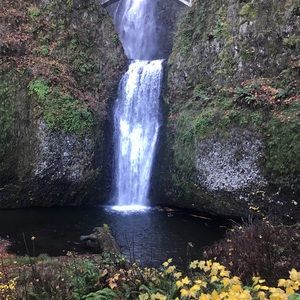 Meet your Posher, Joshua